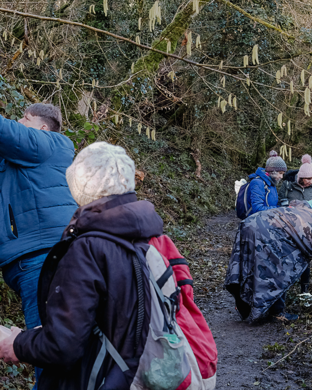 A group exploring and observing together on a woodland path