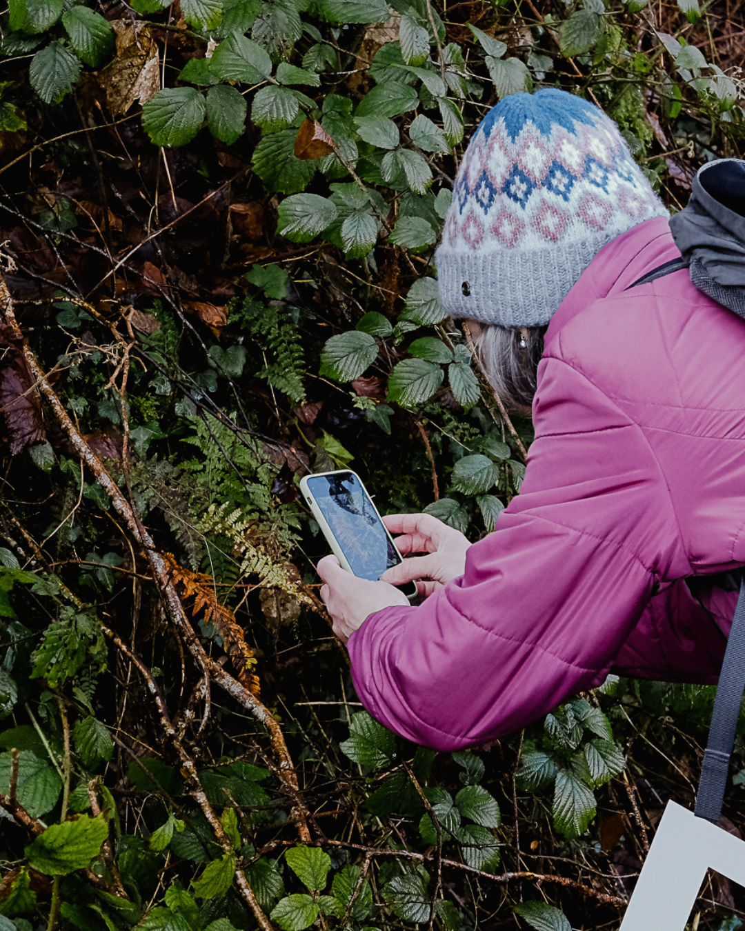 Participant using a camera phone to notice woodland textures and details