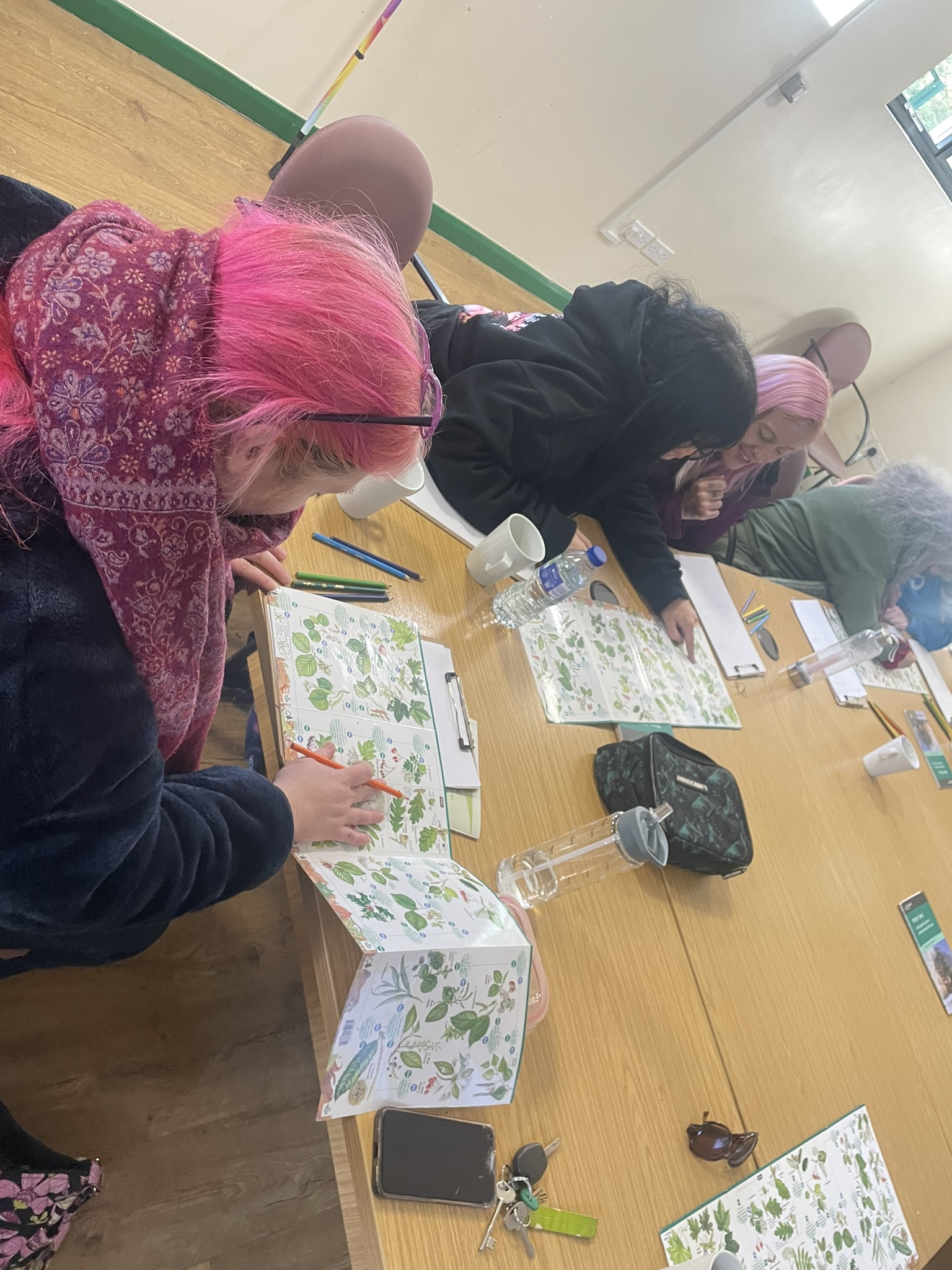 Participants exploring leaves through a creative nature activity