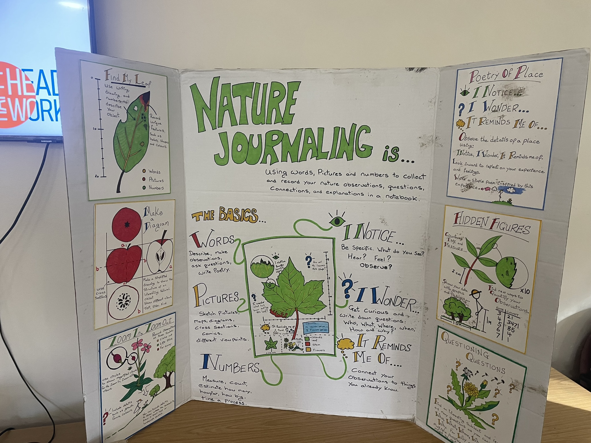 Nature journalling display used during the programme